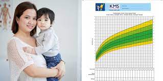 Maybe you would like to learn more about one of these? Kartu Menuju Sehat Kms Informasi Dan Cara Membacanya