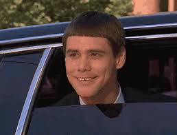 Dum And Dumber Gifs Tenor