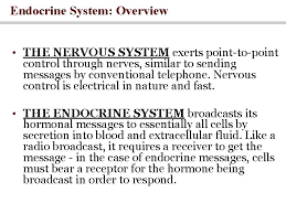 The Endocrine System Dr Khalid Alregaiey Learning Objectives