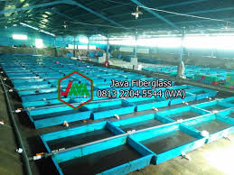 Harga Bak Fiber Koi Tergantung Ukuran Java Fiberglass