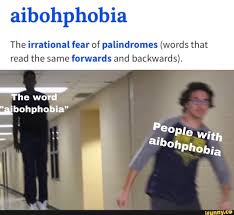 Aibohphobia The Irrational Fear Of Palindromes Words That Read The Same Forwards And Backwards The Word Wai Bohphobia Ifunny