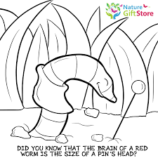 See the presented collection for worm coloring. Earthworms Coloring Page 1 Nature Gift Store