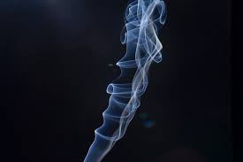 We did not find results for: Ce Se Intampla In Corpul Tau Cand Fumezi Viataverdeviu Ro