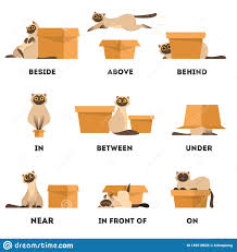 We can sometimes find prepositions before gerund verbs. Prepositions Kids English Quizizz