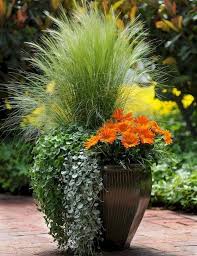 50 Beautiful Container Garden Flowers Ideas Gardening Tips Plants Container Gardening Container Gardening Flowers