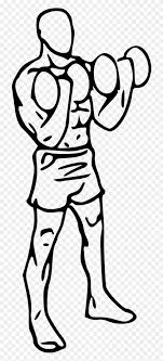 This is your starting position. Biceps Drawing At Getdrawings Com Free For Personal Cross Body Hammer Curl Free Transparent Png Clipart Images Download