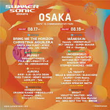 Image result for Tan 2024 Fleet