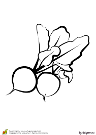 Epingle Par Hugo L Escargot Sur Acrilique Coloriage Dessin Fruits Dessin Facile Animaux