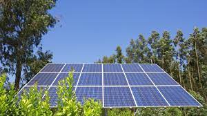 Your Rooftop Garden Could Be A Solar Powered Working Farm Wired