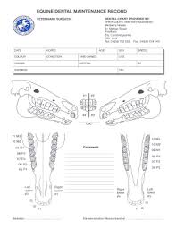 Get And Sign Beva Dental Chart For Evdc Website 176 32 230