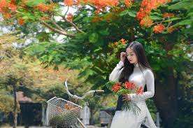 Top 10 bài văn mẫu thuyết minh về cây phượng hay nhất - TopShare