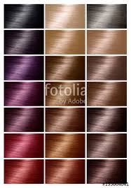 color chart for hair dye tints hair color palette with a