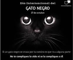 El 20 de febrero se celebra el día del gato debido a la mascota de la familia clinton, un gato llamado socks, que fue adoptado en 1991. Cosas De Gatos En El Dia Internacional Del Gato Negro Facebook