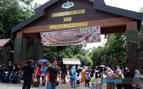 Selain penambahan korban jiwa, di. Bernama Jumlah Pengunjung Trzk Melonjak Hampir 50 Peratus Pada 2020