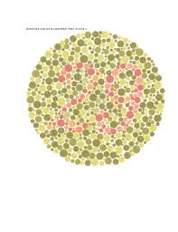 We did not find results for: Test Buta Warna