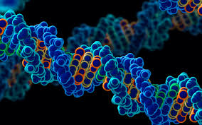Image result for Genes