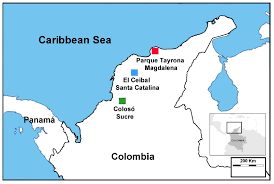 Termite control, from do it yourself pest control, termite treatment plans. Insects Free Full Text Phylogenetic Community Structure And Niche Differentiation In Termites Of The Tropical Dry Forests Of Colombia Html