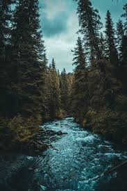 100 Wallpapers Free Download Images On Unsplash River Beautiful Wallpapers Backgrounds Fly Fishing For Beginners