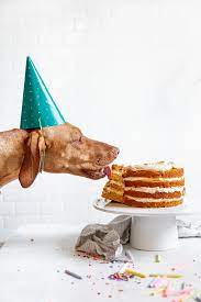 I'll just go ahead and confirm. Dog Birthday Cake Recipe How To Make Cake For Your Dog