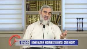 Hayvanlarin Kisirlastirilmasi Caiz Midir Nureddin Yildiz Youtube