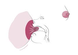 Nipple Pain - La Leche League GB