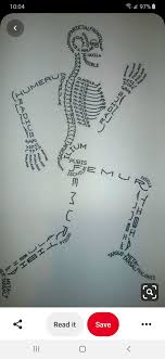 Pin Von Mo Faya Auf Literacy In 2020 Anatomie