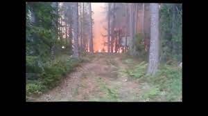 Torrt i skog och mark ökar risken för skogsbränder. Eldstorm I Skogsbranden I Vastmanland Sommaren 2014 Youtube