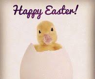 Wish your near and dear ones with easter greetings messages, easter text messages which make a worthy share. Funny Easter Quotes Pictures Photos Images And Pics For Facebook Tumblr Pinterest And Twitter Page 4
