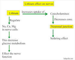 Nausea and vomiting can be symptoms of many different conditions. Lithium Labpedia Net