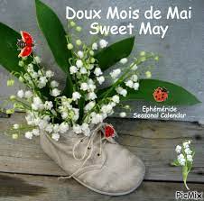 #1er mai #muguet #je me demande pourquoi on offre du muguet le jour de la fête du travail ? 1er Mai 1 May Picmix