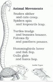 Animal Movements Animal Movement Poetry Ideas Rhyming Poems