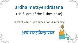 Ardha Matsyendrasana Yoga Teachers Study Yoga Fish Pose