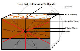 When seismic data is collected from at least three different locations, it can be used to determine the epicenter by where it intersects. Show The Epicentre Focus And The Primary Secondary And Surface Waves Of An Earthquake With The Help Of A Neat Labelled Diagram Geography And Economics Shaalaa Com