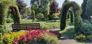 Exista citeva zeci de locuri oficiale, insa sunt sanse mici sa prindeti unul dintre ele. Streamyourdream La Comana Corina Costache