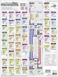 project management pm process flow oversized wall chart