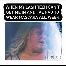 Luscious Lashes & Brows