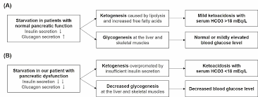 Glucagon is secreted by the alpha cells in the pancreas, and it has opposite effects to those of insulin: Cureus Starvation Ketoacidosis With Hypoglycemia In A Patient With Chronic Pancreatitis