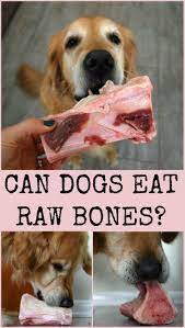 Primal Marrow Bones Review Keeping Safe With Raw Bones Marrow Bones For Dogs Dog Nutrition Can Dogs Eat