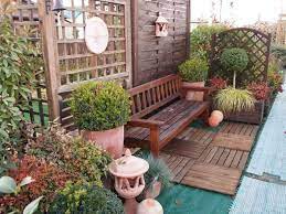 Pin Su Terrasse