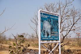 Pitalkhora Caves The Brazen Glen Maharasthra The wildlife sanctuary was established in 1986 in an existing reserved forest area. photo dharma
