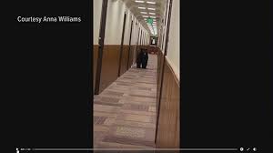 We offer 2 to 8 month work agreements for. Video Bear Spotted Wandering Through Hallway Of Colorado Hotel 9news Com