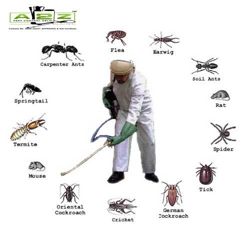 Pest Control in Malibu Town Gurugram product image