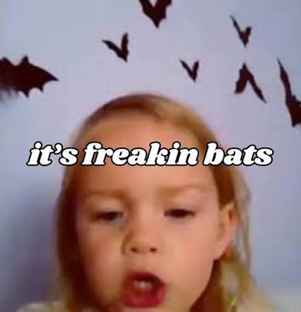 its freaking bats