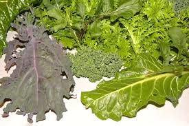 Como hemos dicho, muchos alimentos industriales llevan añadidos esteroles vegetales para transformarse así en un producto funcional y altamente. Como Cocinar Vegetales Verdes Consejos De Recetas Coccion Y Almacenamiento Centro De Estudios En Nutricion