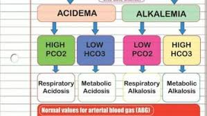 arterial blood gases nurses tips