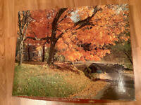 Many of the puzzles are also of the extra large piece variety as well as the multiple box set such as village celebrations which is a 2 x 500 box set. 5000 Puzzle Kijiji In Ontario Buy Sell Save With Canada S 1 Local Classifieds