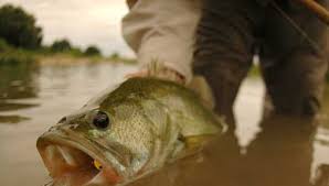 We started our public journey thirteen years ago, and we're still going strong. Llano River Texas Hill Country Fifty More Places To Fly Fish Before You Die Midcurrent