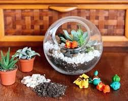 Grasslands Pokemon Terrarium Etsy In 2020 Pokemon Terrarium Terrariums Kits Terrarium
