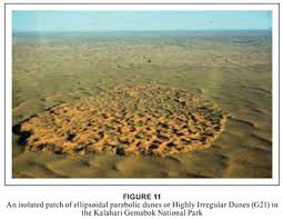 Image result for Sporobolus bechuanicus