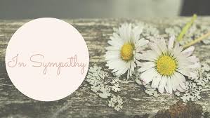 I can't imagine the heartache you must feel.. What To Say When Someone Dies 8 Sympathy Messages To Replace I M Sorry Just Playing House